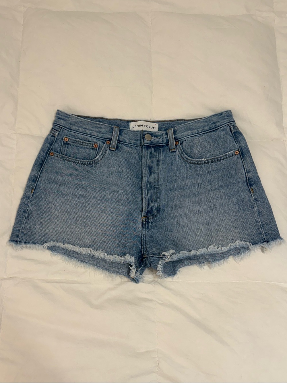 Aritzia Blue Denim Shorts